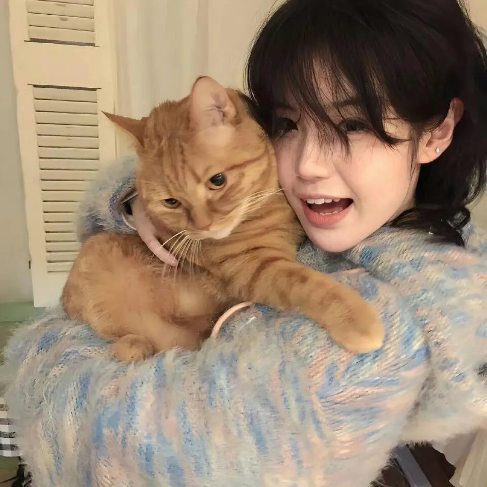 沙漠阴影