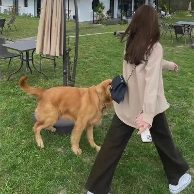 超速先生