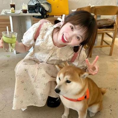 春满兰宫